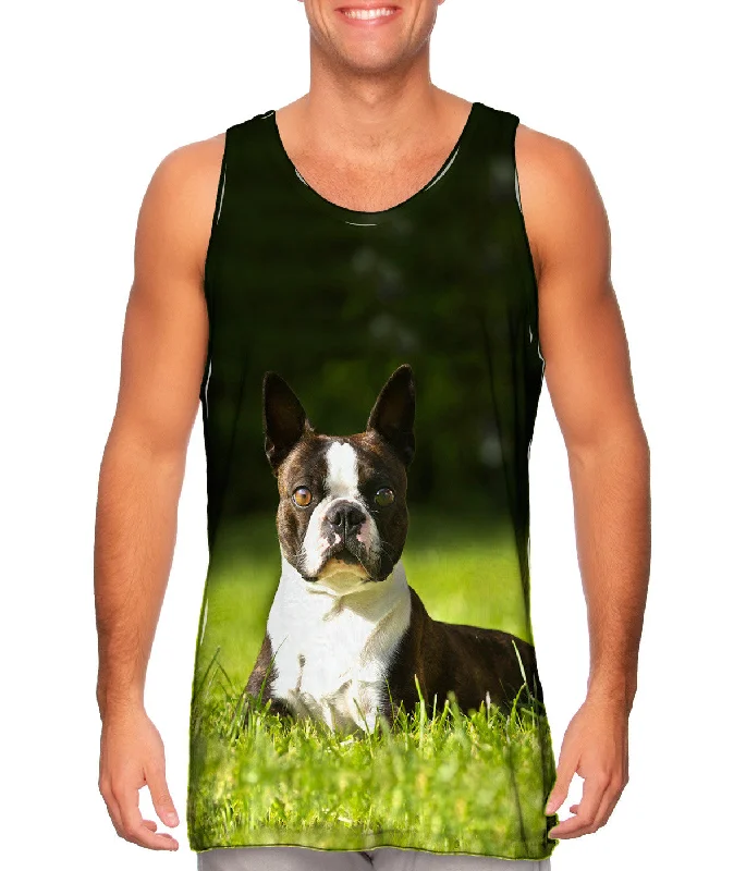 Romantic Data Giddy Boston Terrier