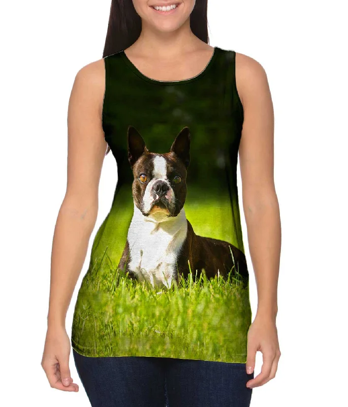 Luxury Style Giddy Boston Terrier