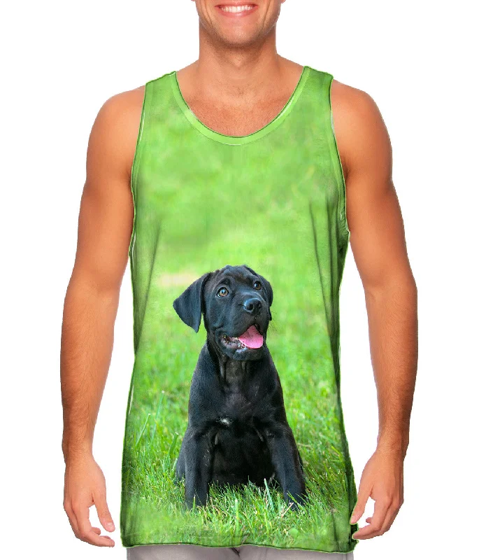 Fashion Design Giddy Black Mastiff