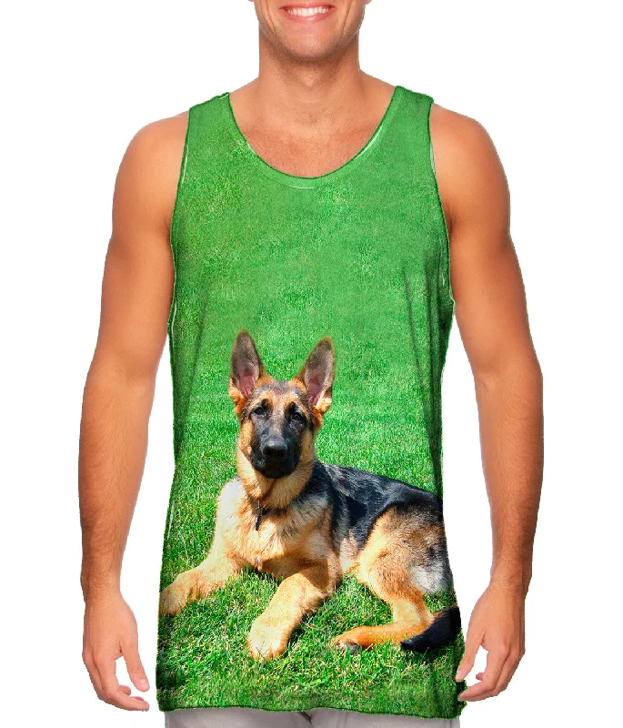 Fashionable And Versatile German Shepherd On Grass