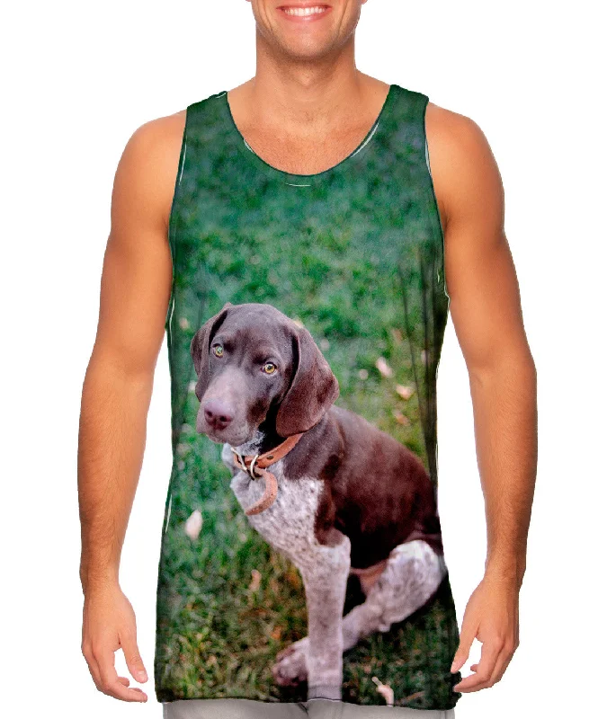 Avant-garde Design German Shorthaired Pointer Look