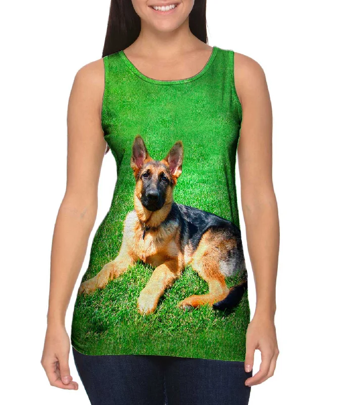 British Style German Shepherd On Grass