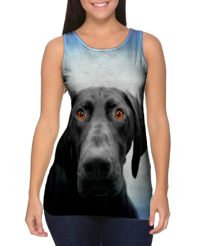 French Style German Shorthaired Pointer Dog